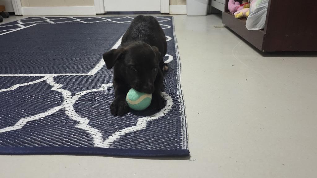 Mckenna White Dot On