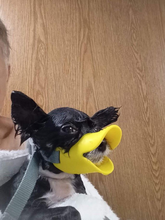 Les Nessman ~ Sanctuary