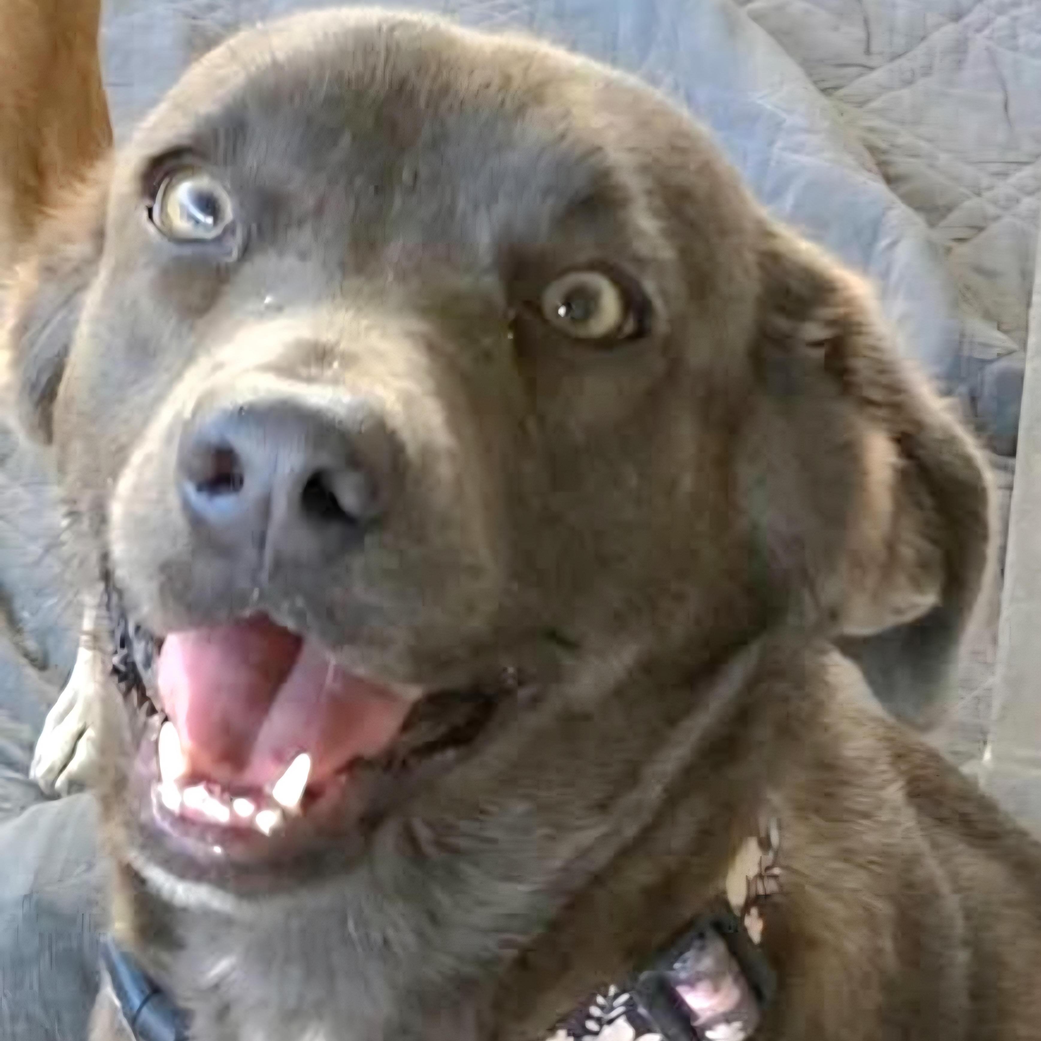 Greeicy "only Love!"