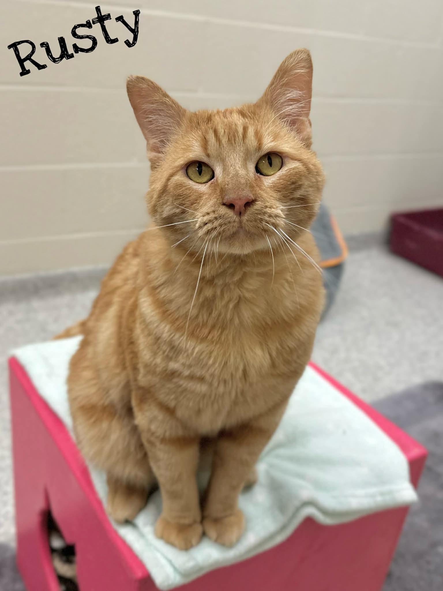 Rusty