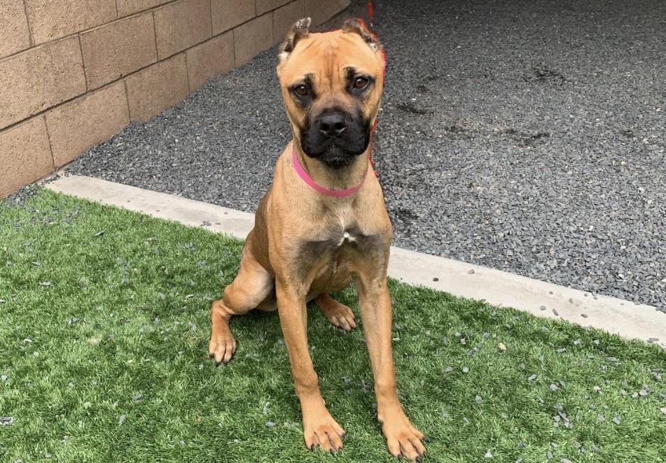 Urgent! Save Me Please!