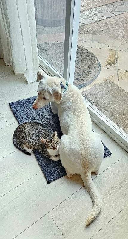 Lilly And Lilah Napa