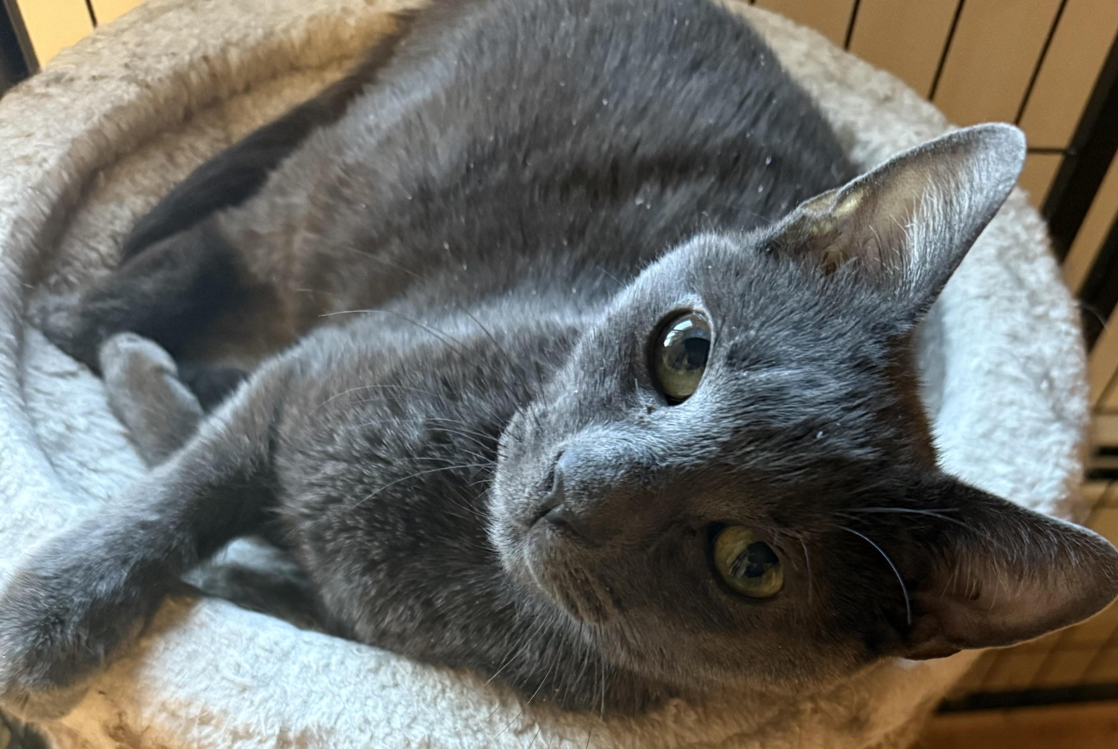 Sweet Peaches photo 1