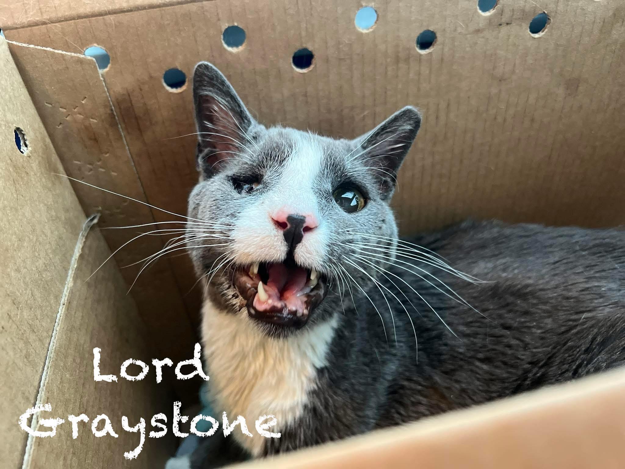 Lord Greystone