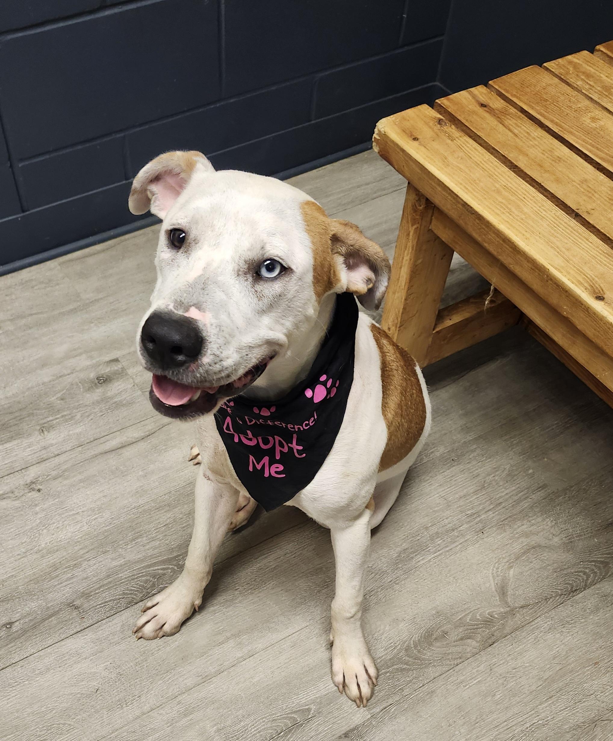 Nakiri Prison Program