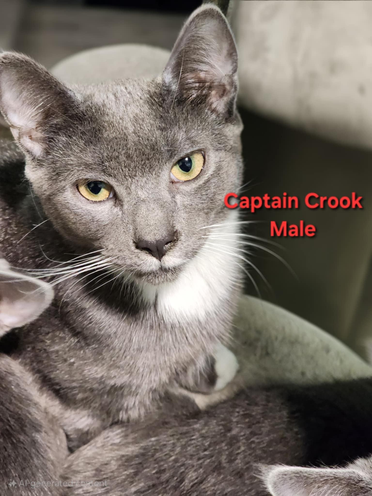 Captain Crook & Stache