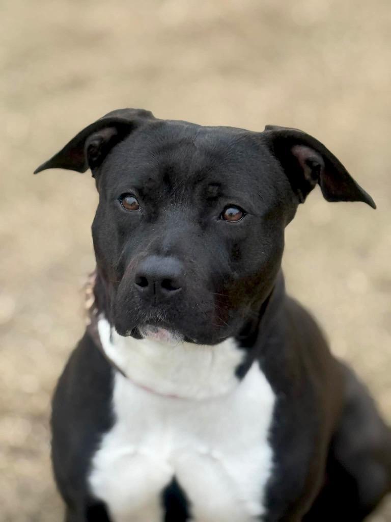 Nova Located In photo 1