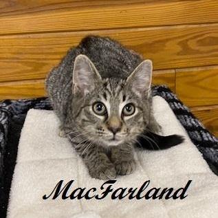 Macfarland
