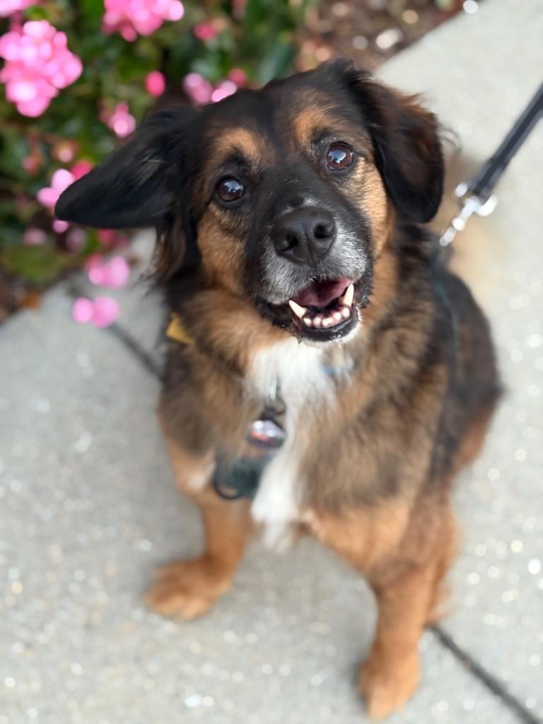 Fred Courtesy Listing