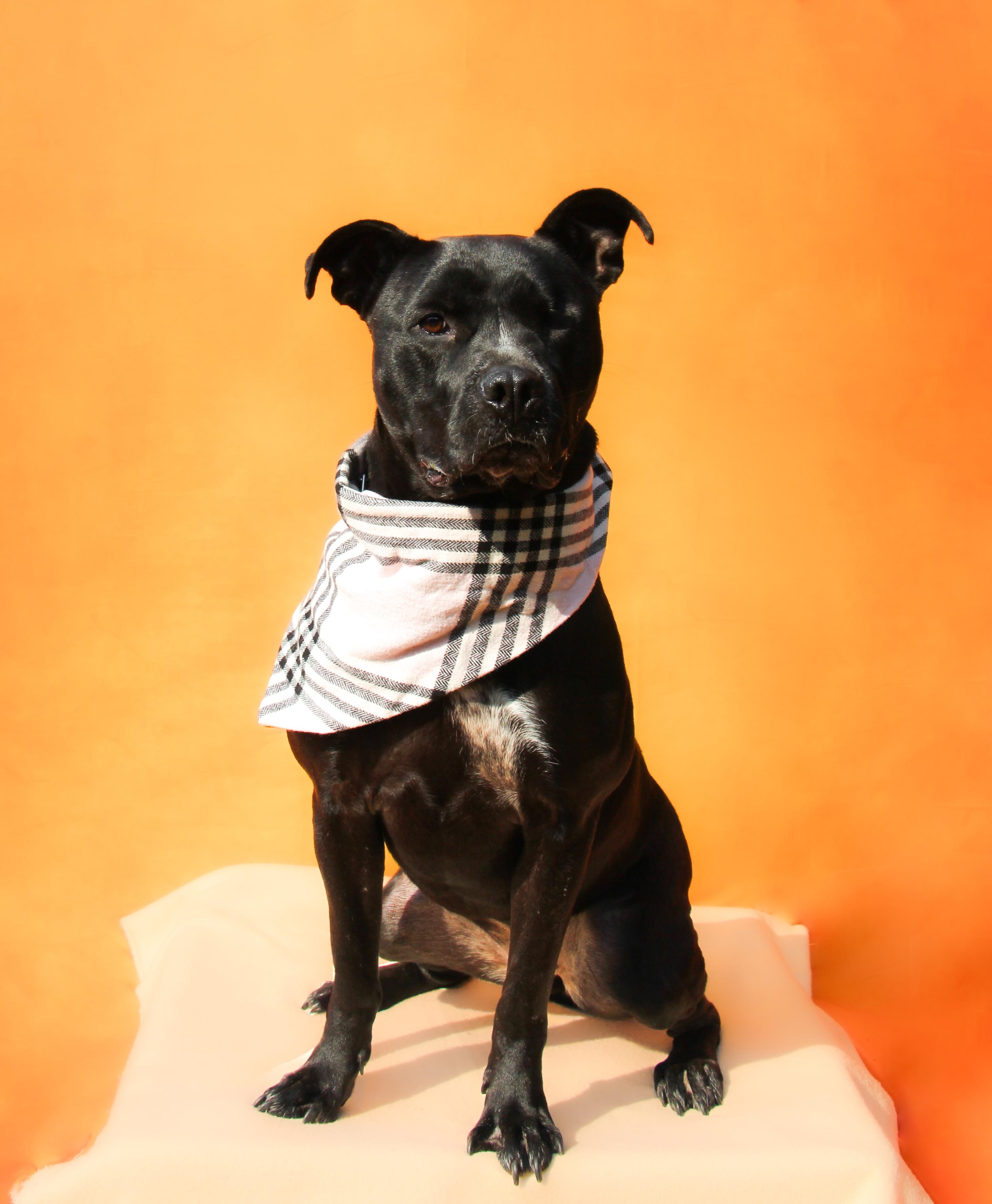 Storm Long Island photo 1