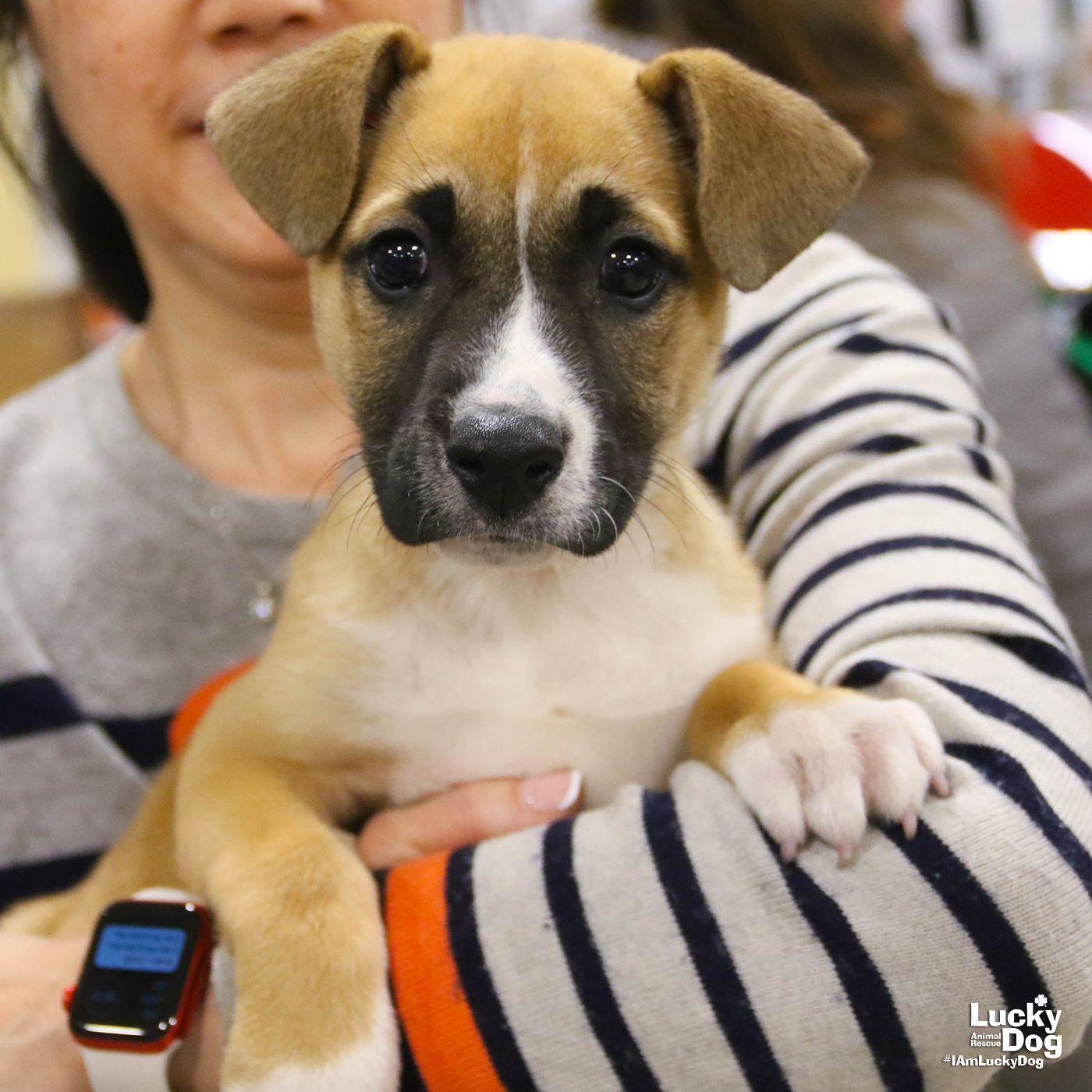 Connor Haley photo 1