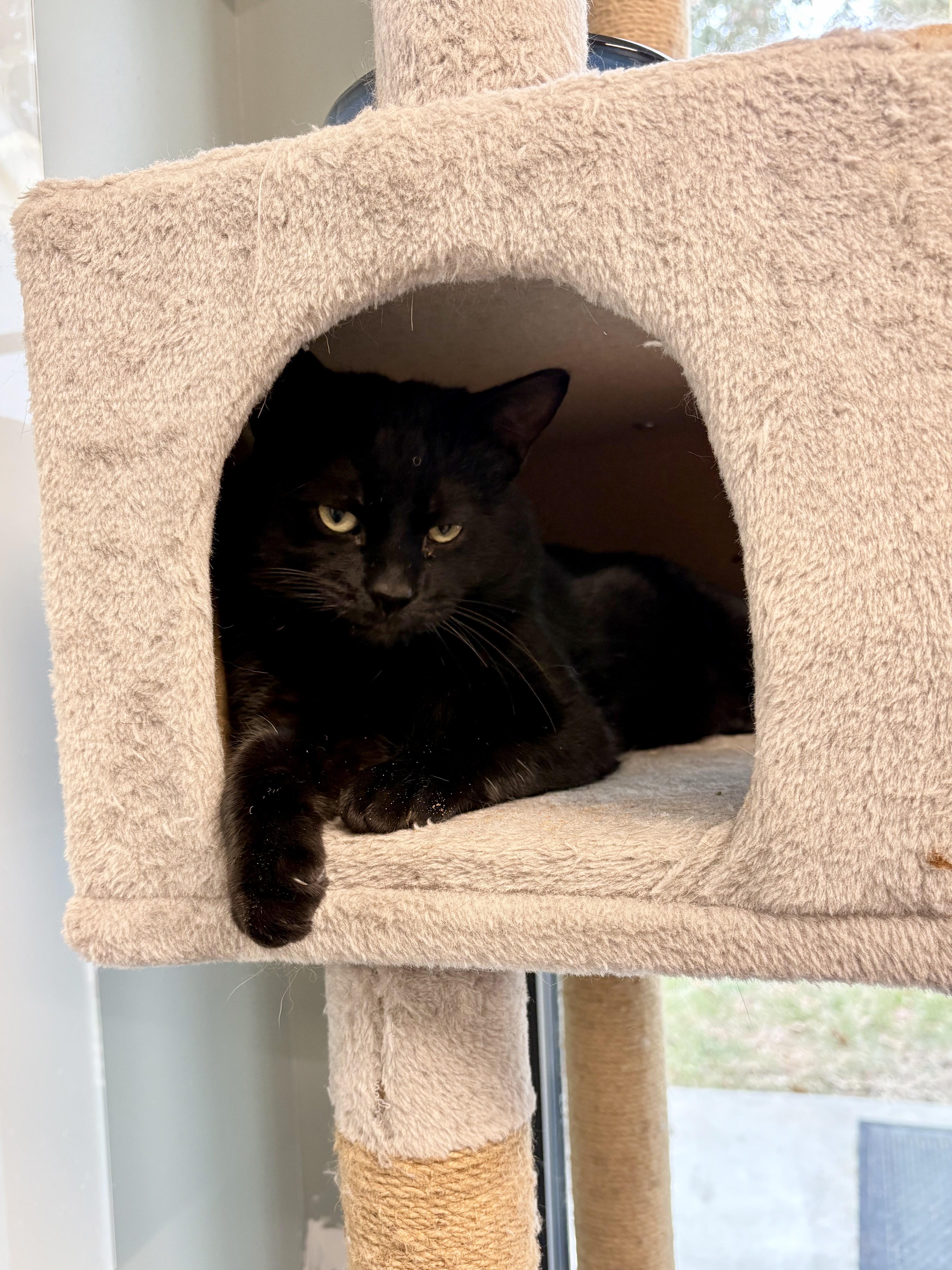 Clark Griswold photo 1