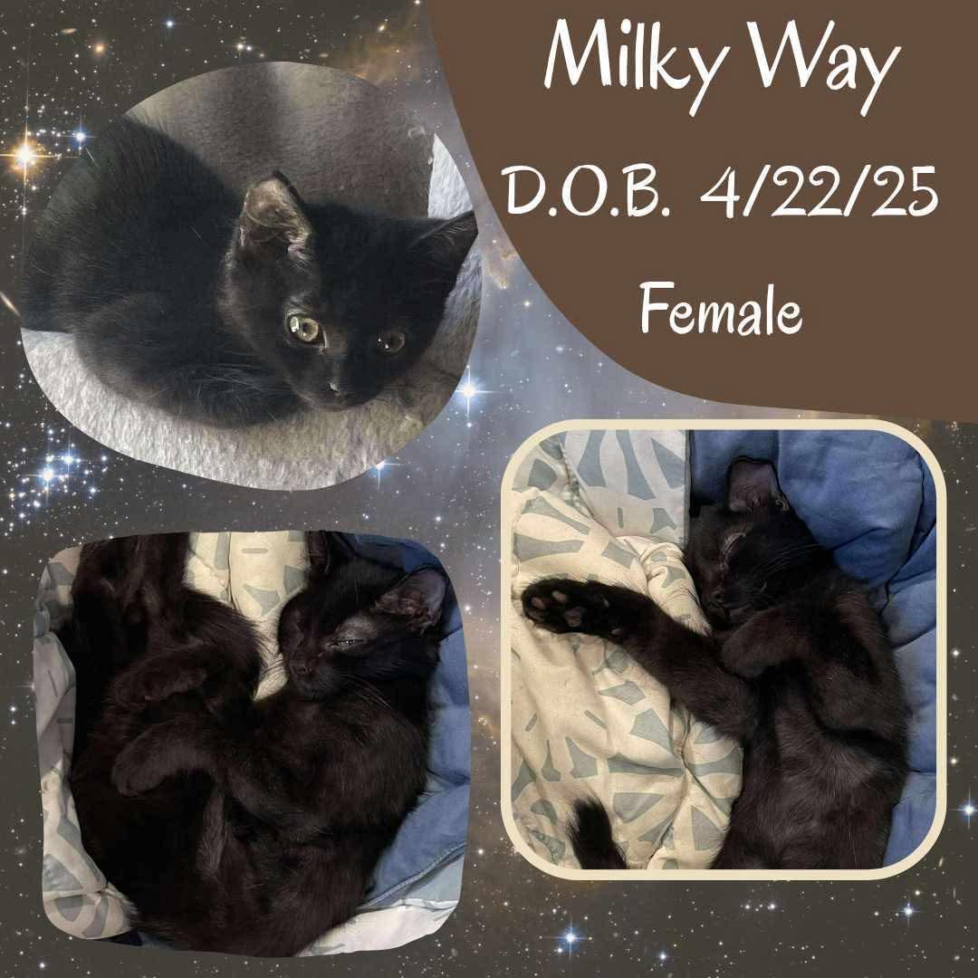 Milky Way