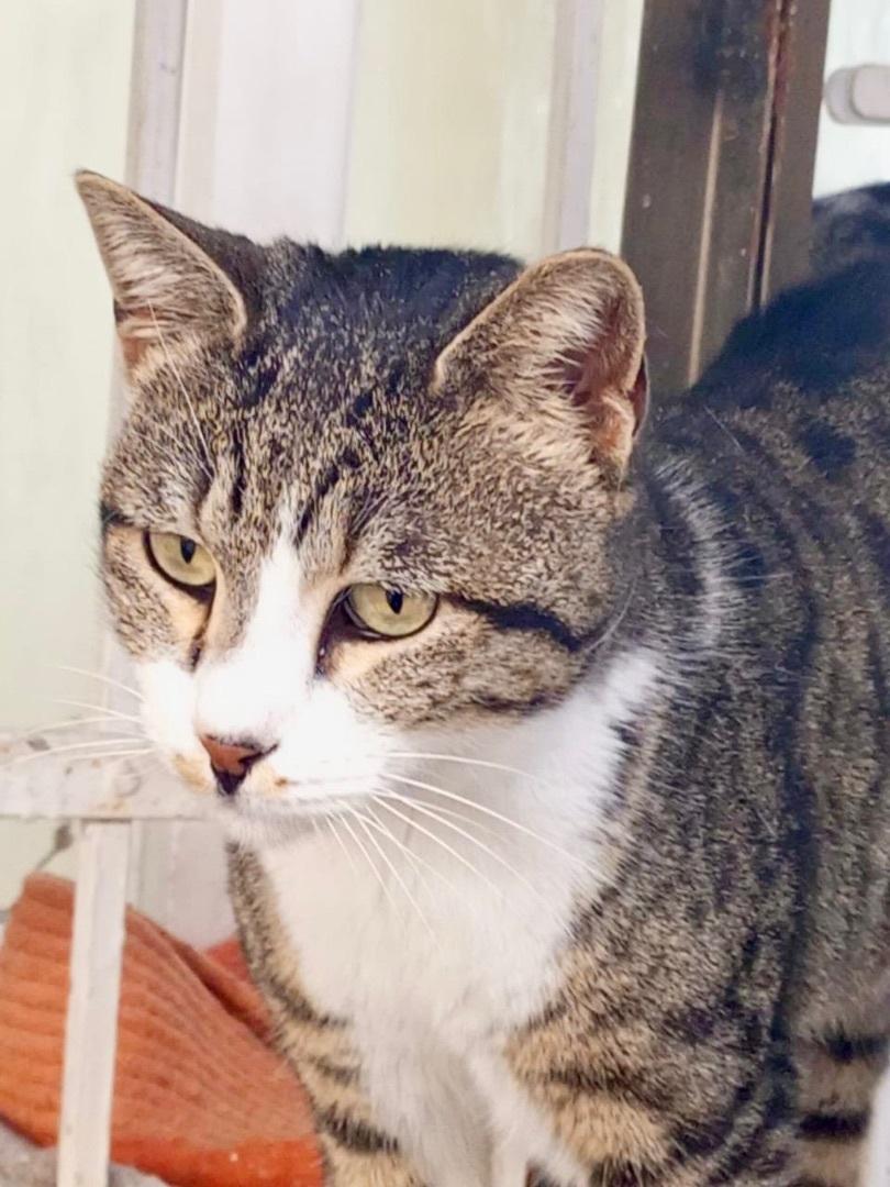 Luna The Most photo 1