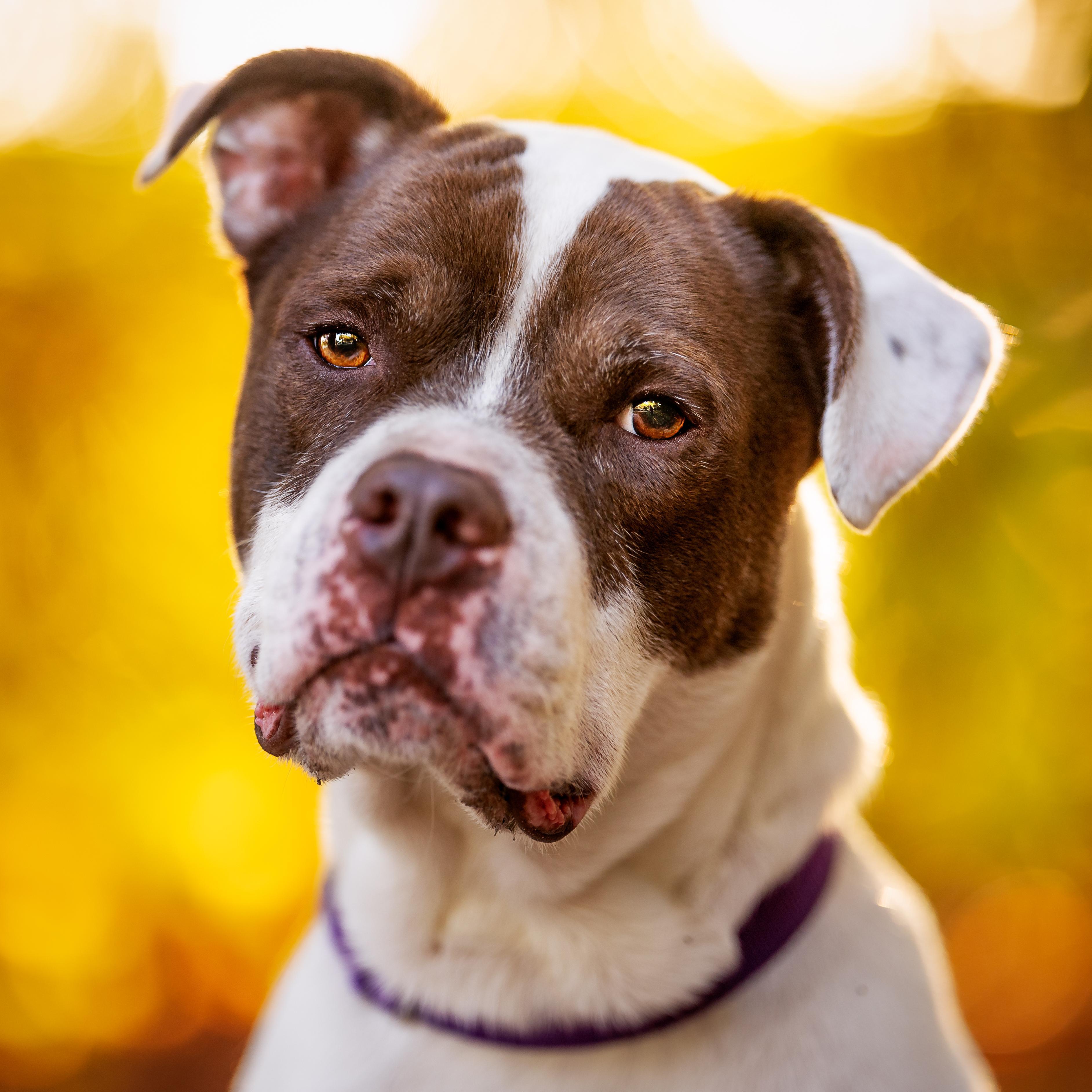 Jango Sponsored photo 1