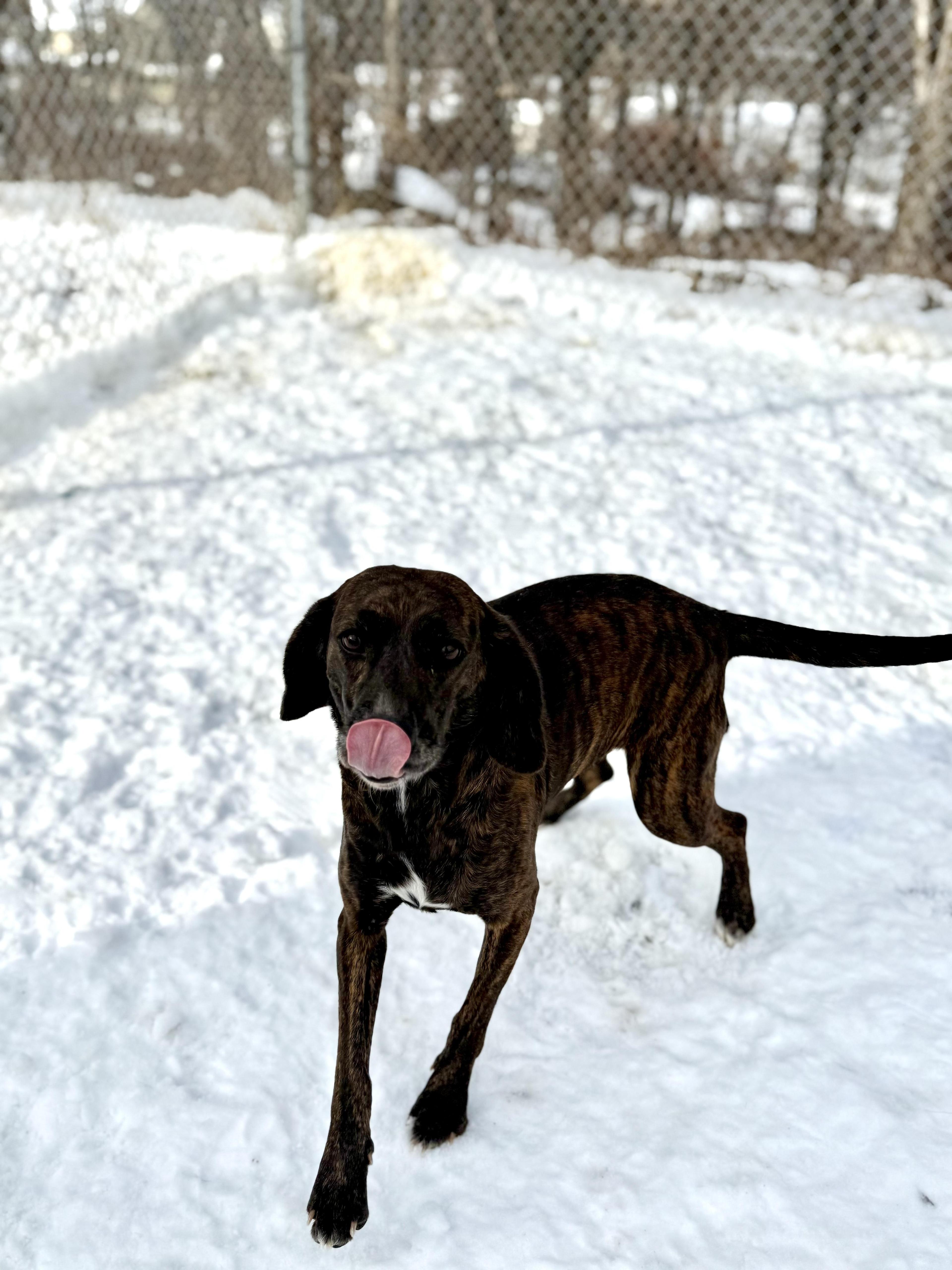 Cascade "cassie" photo 1