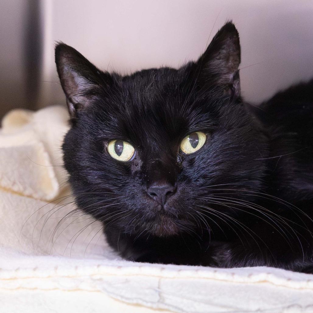 Glass Window photo 1