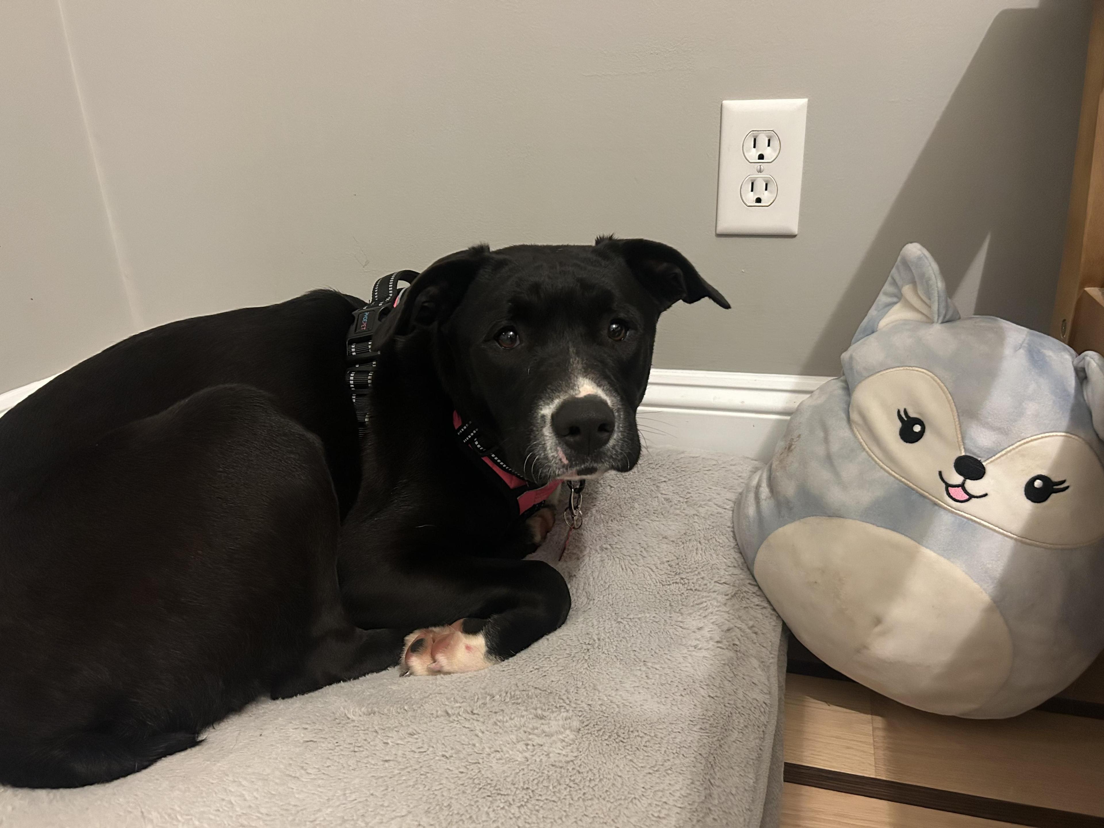 Marigoldcome Meet Me!