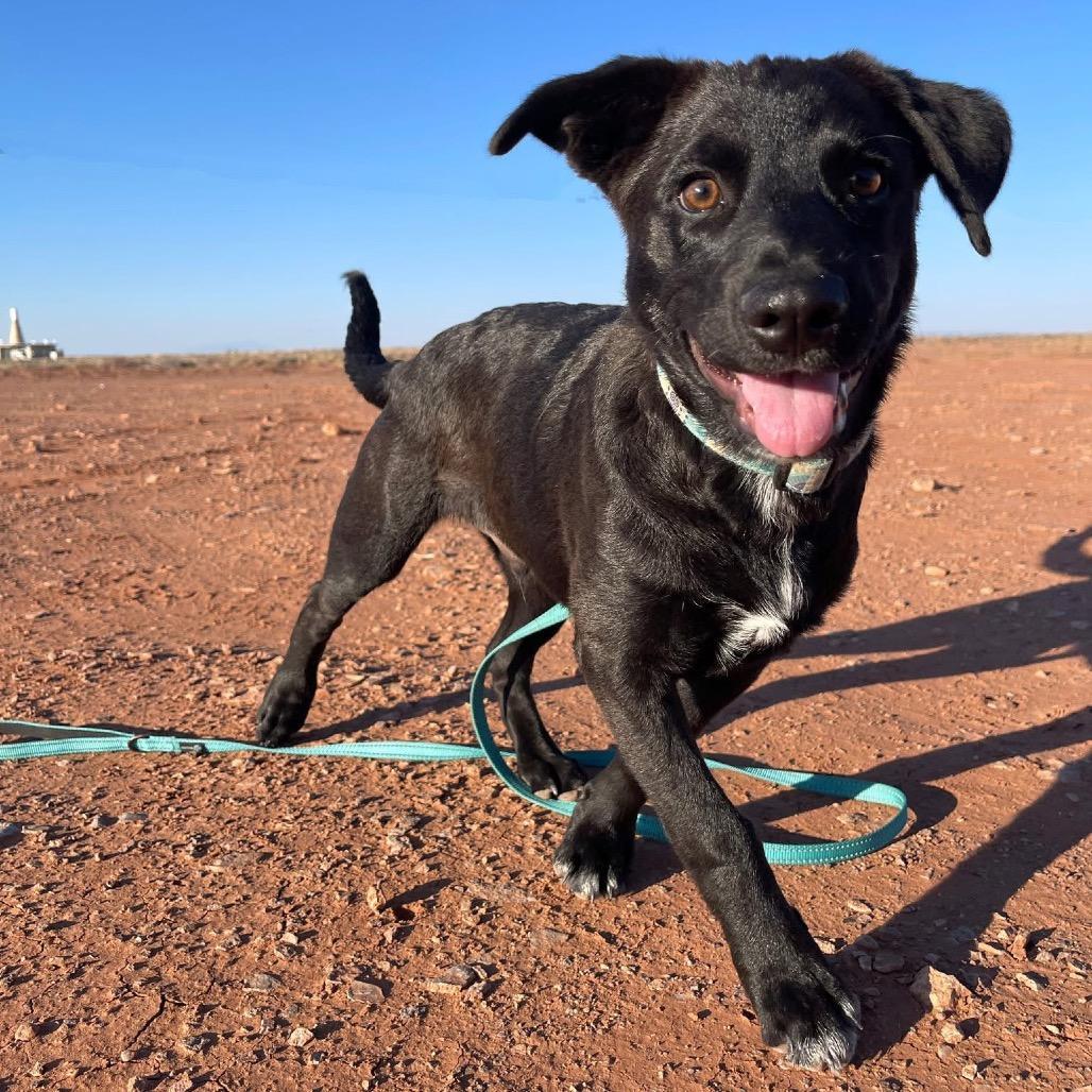 Bruce Waynejaa'abani