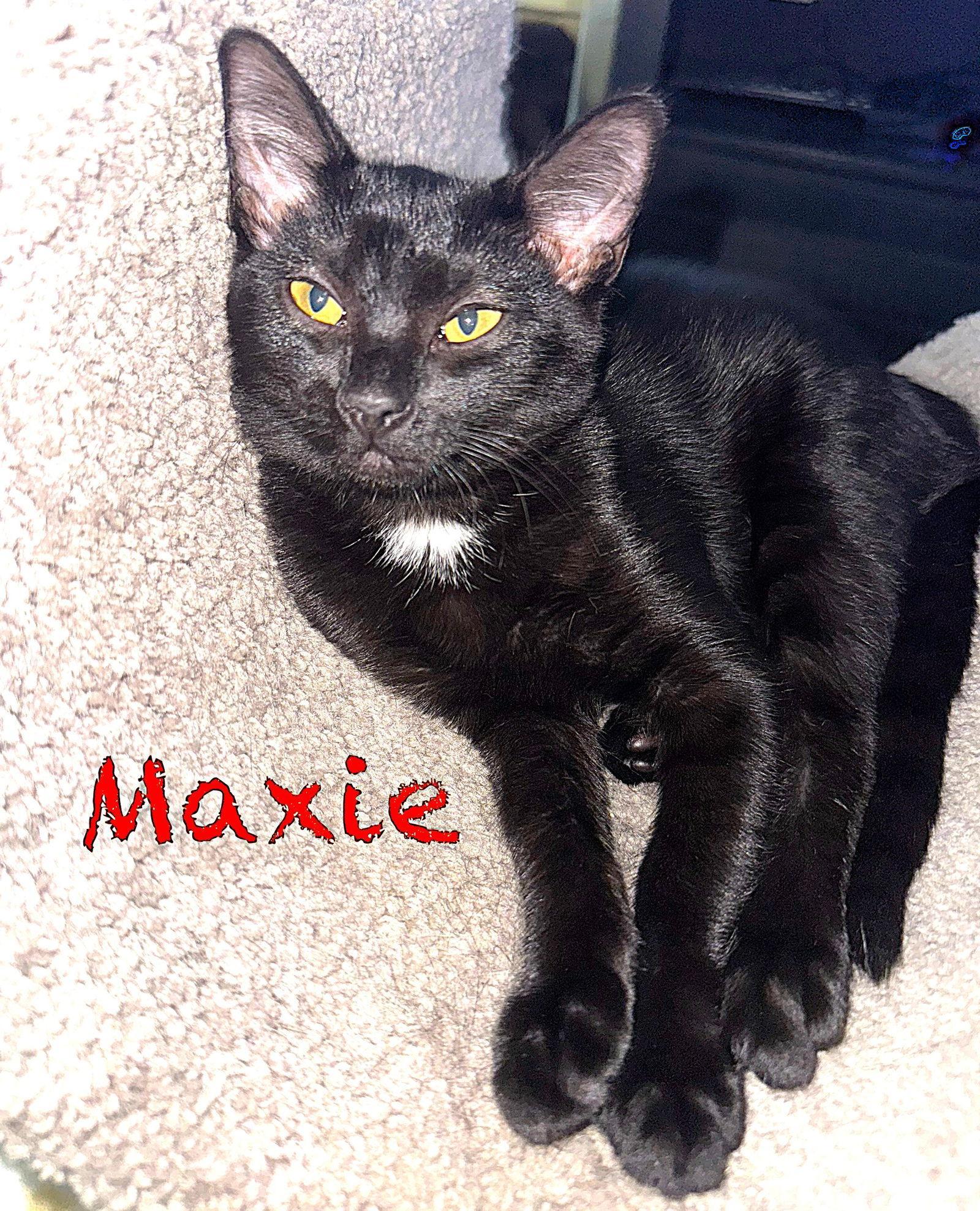 Maxie