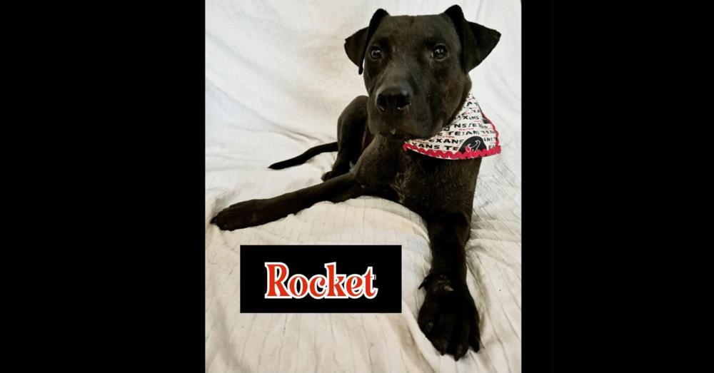 Rocket