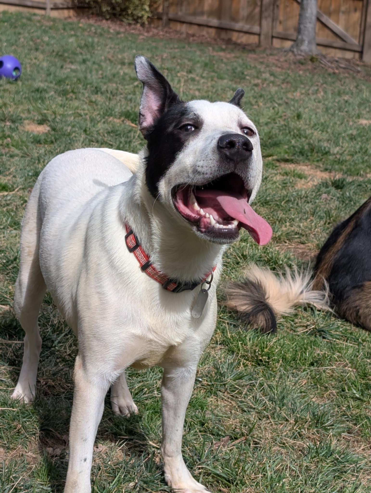Parker Louisiana Litter