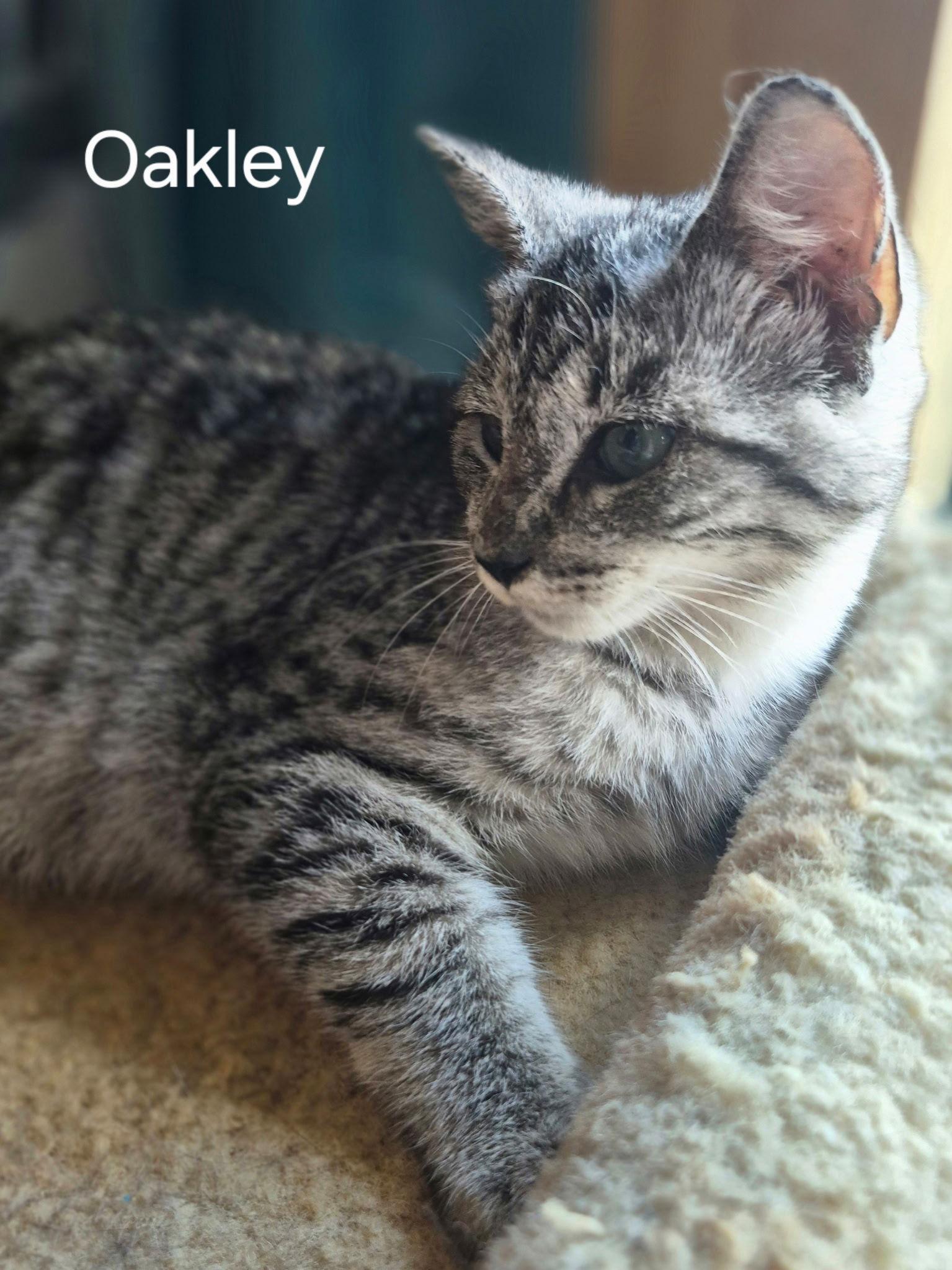 Oakley