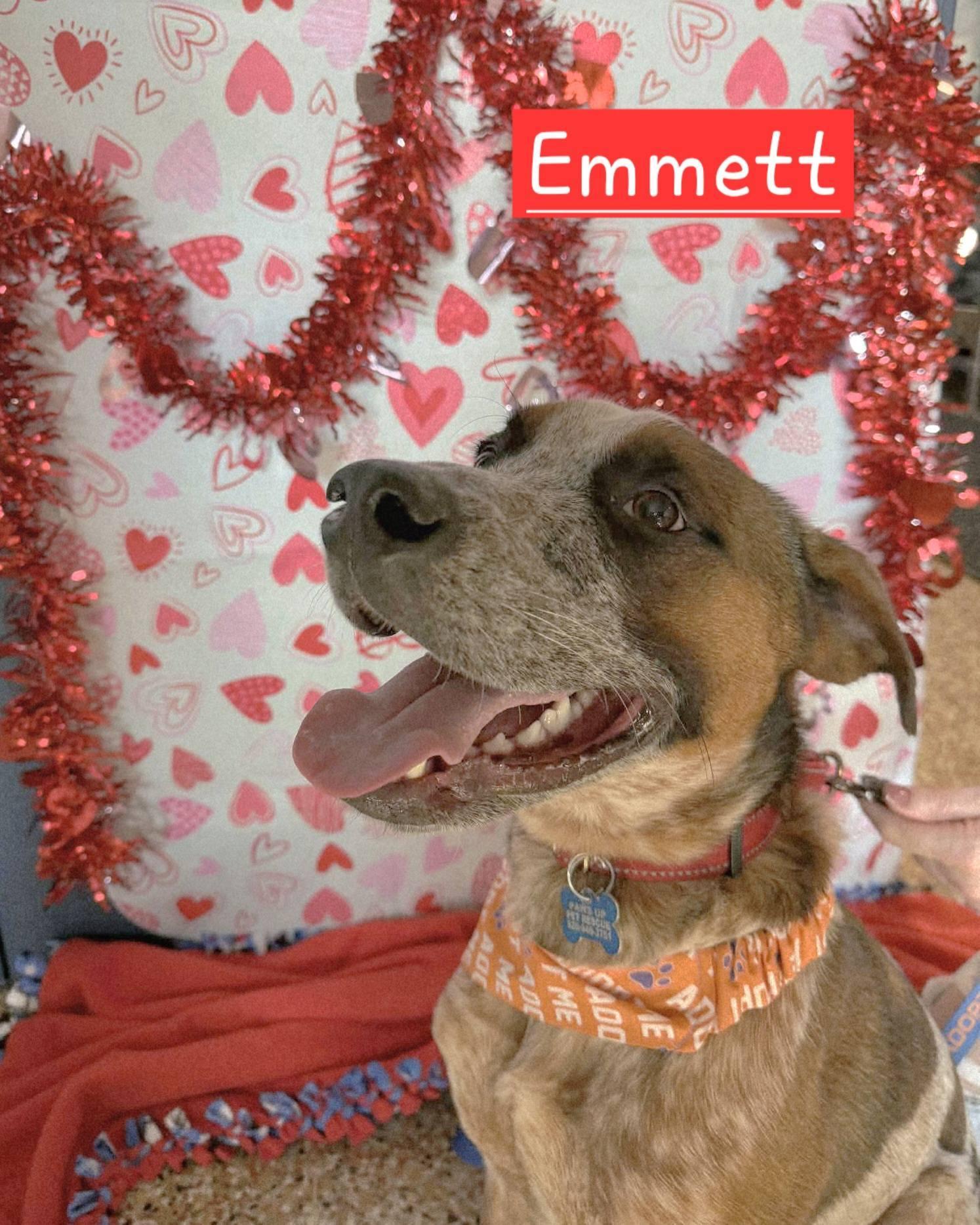 Emmett D Litter