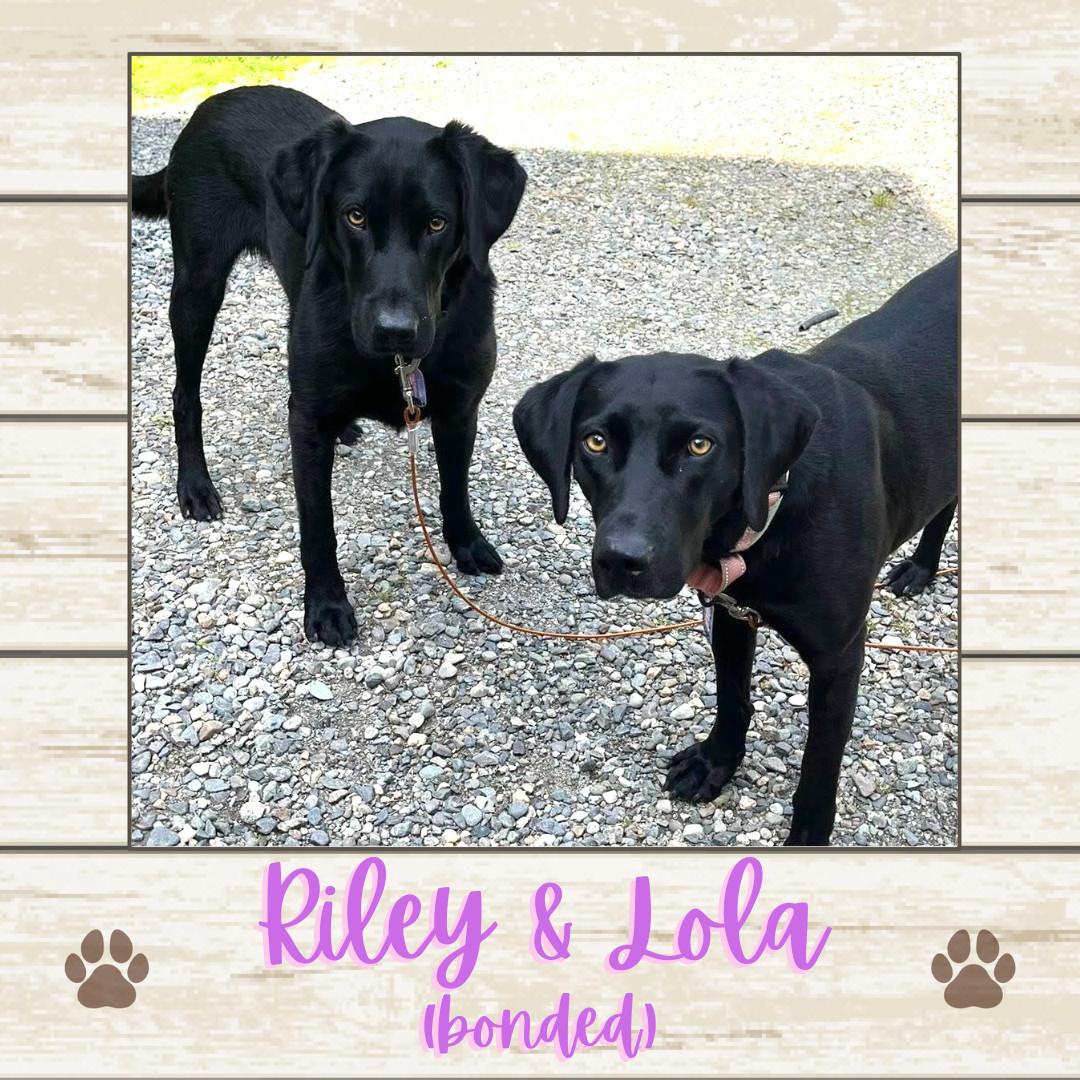 Riley & Lola