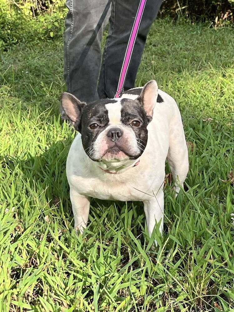 Marlowe Jean photo 1