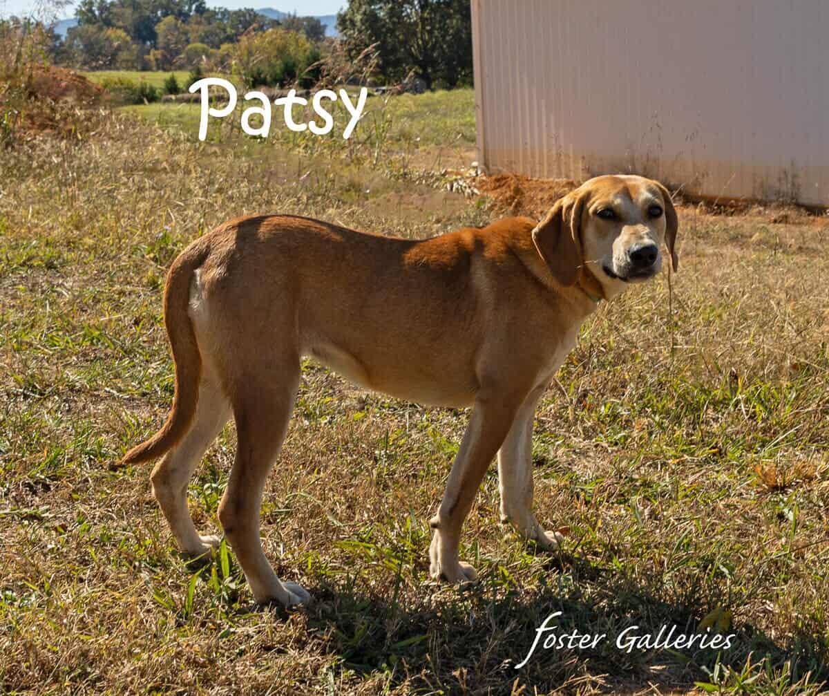Patsy