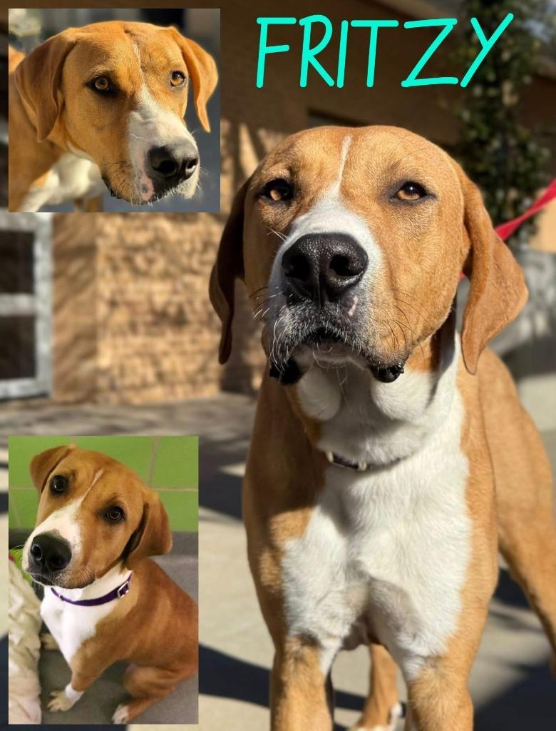 Fritzy