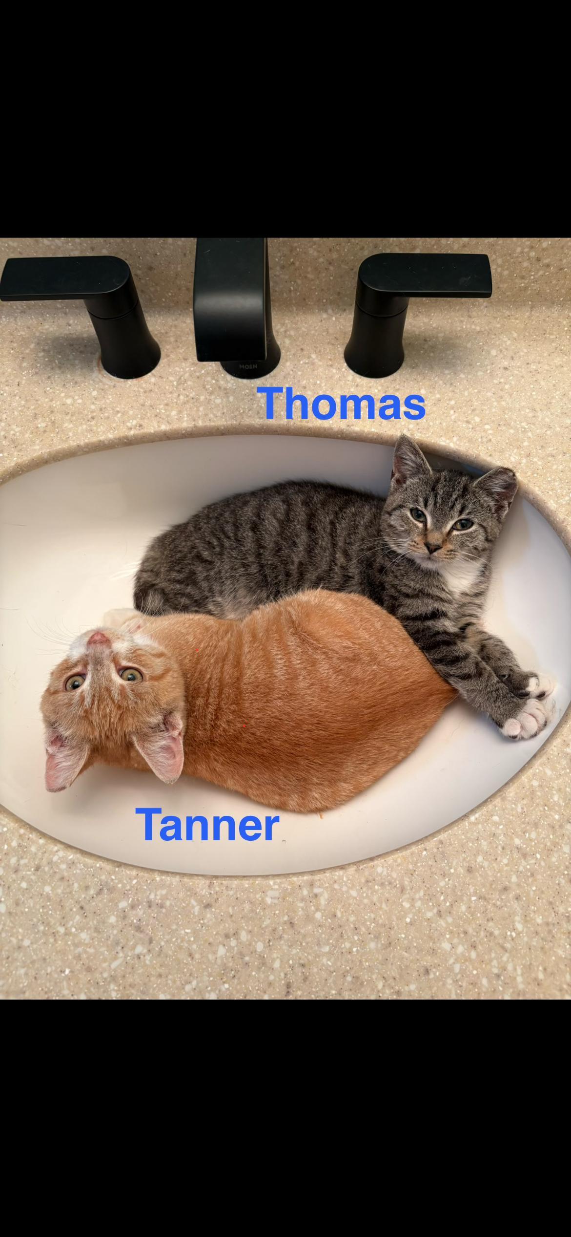 Tanner & Thomas