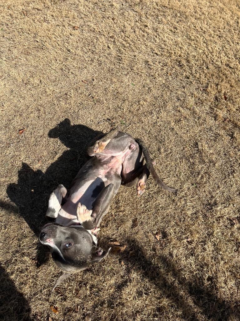 Hadley Grace photo 1