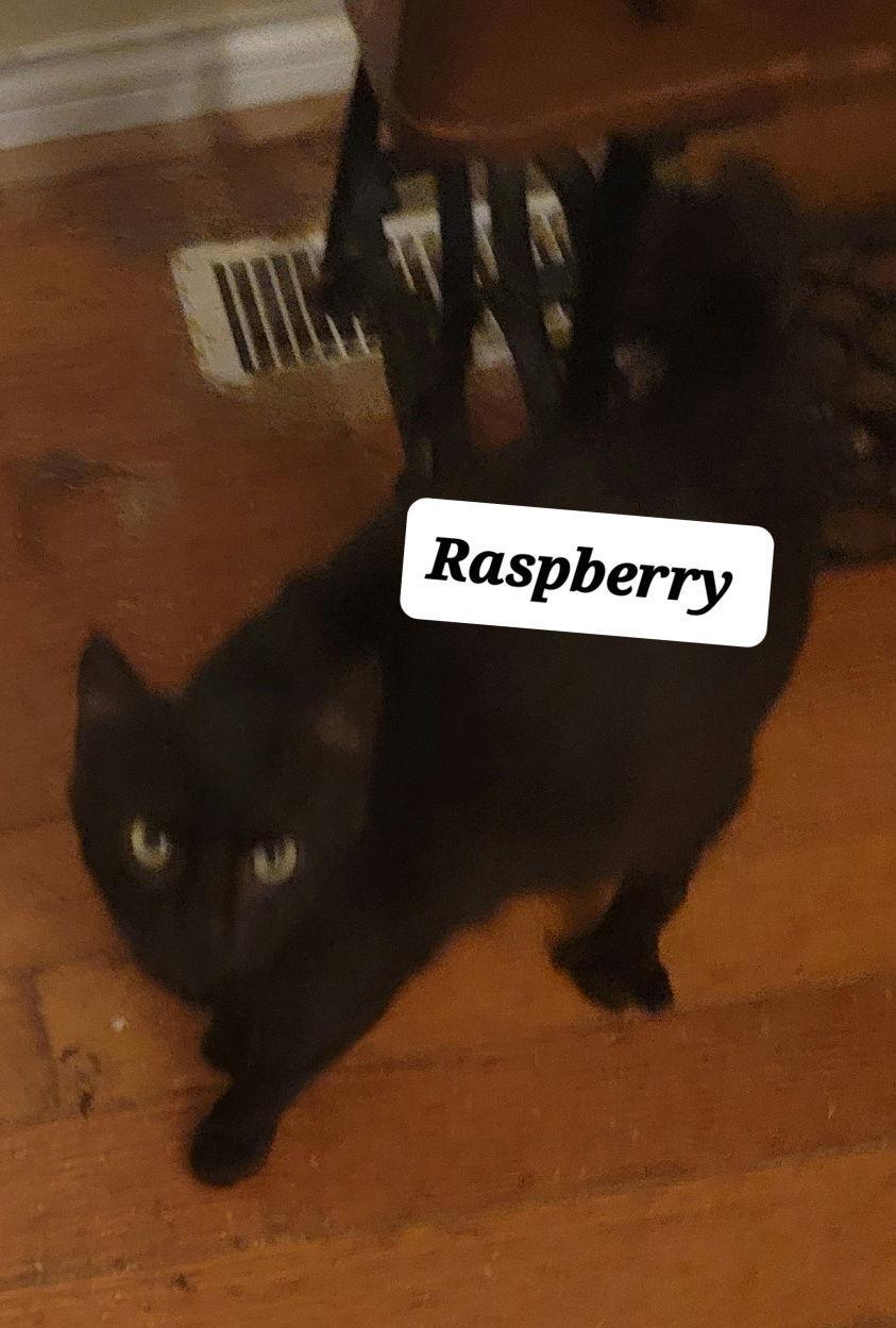 Raspberry