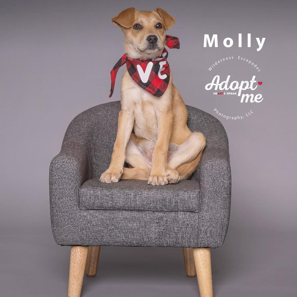 Molly