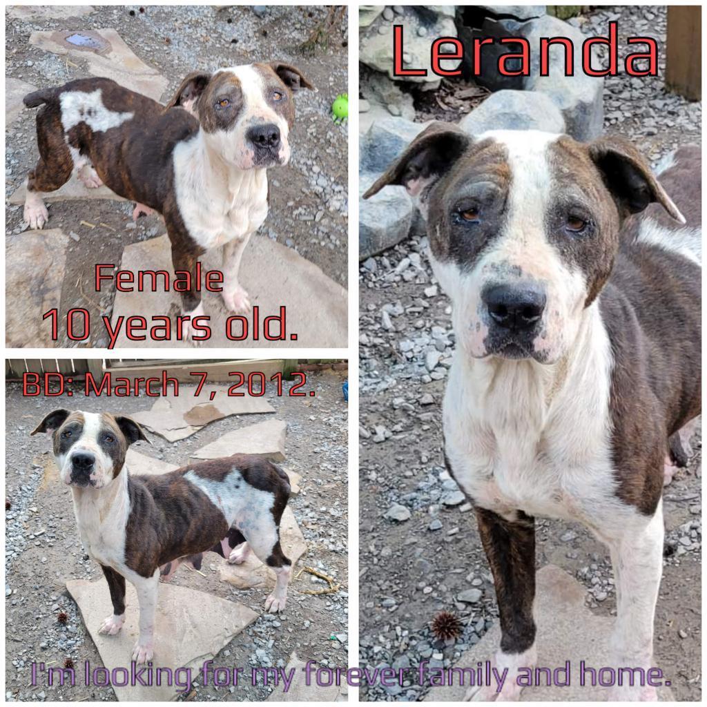 Leranda