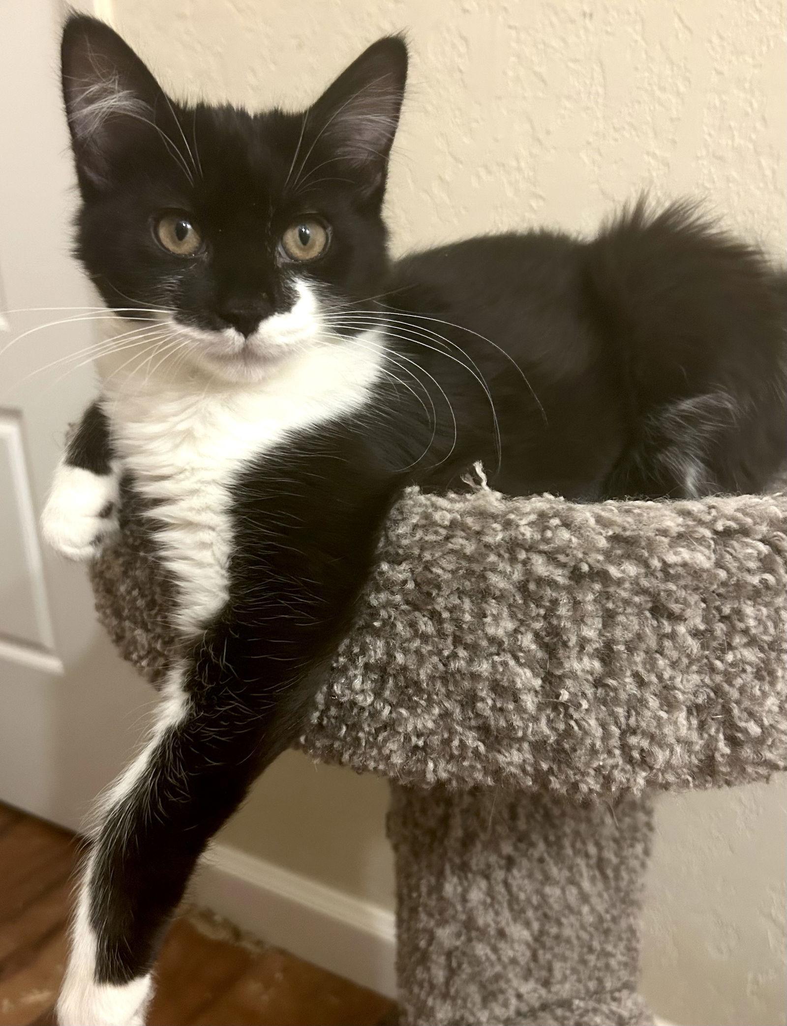 Finn And Rosie photo 1