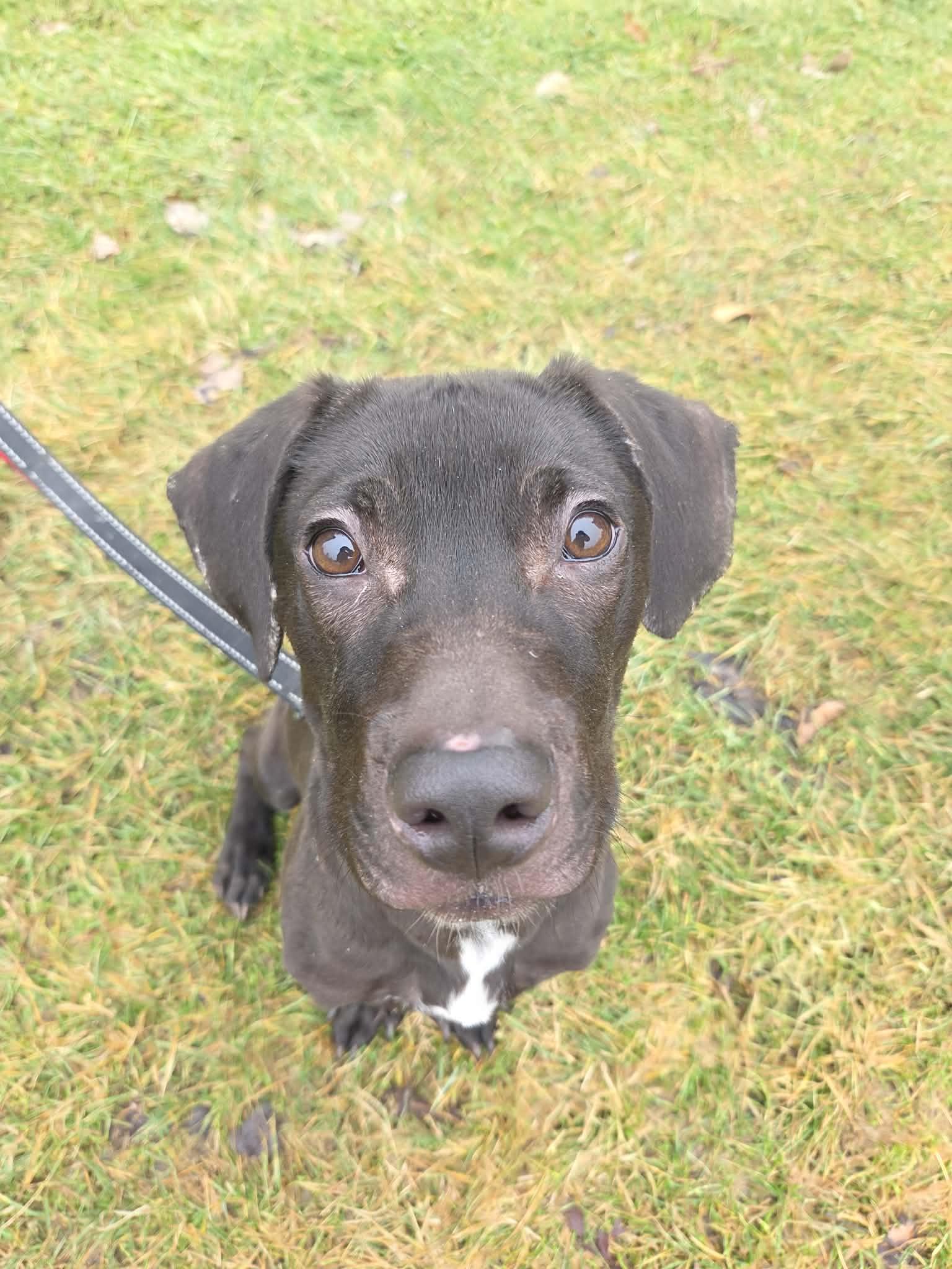 Nimbusnot Accepting Applications Yet!