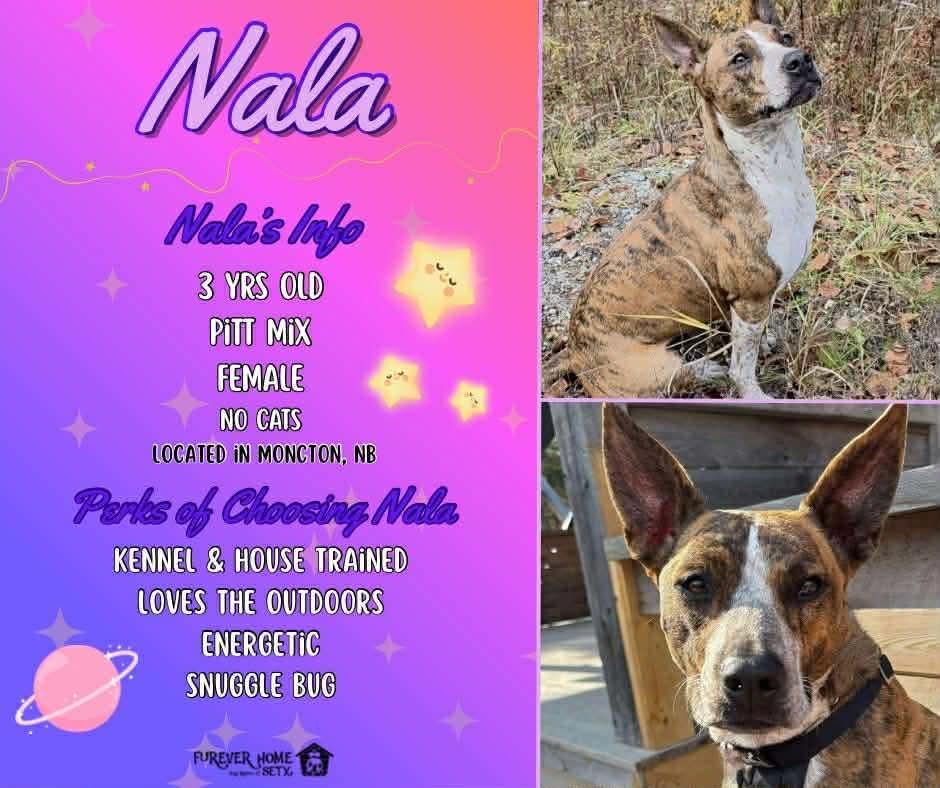 Nala