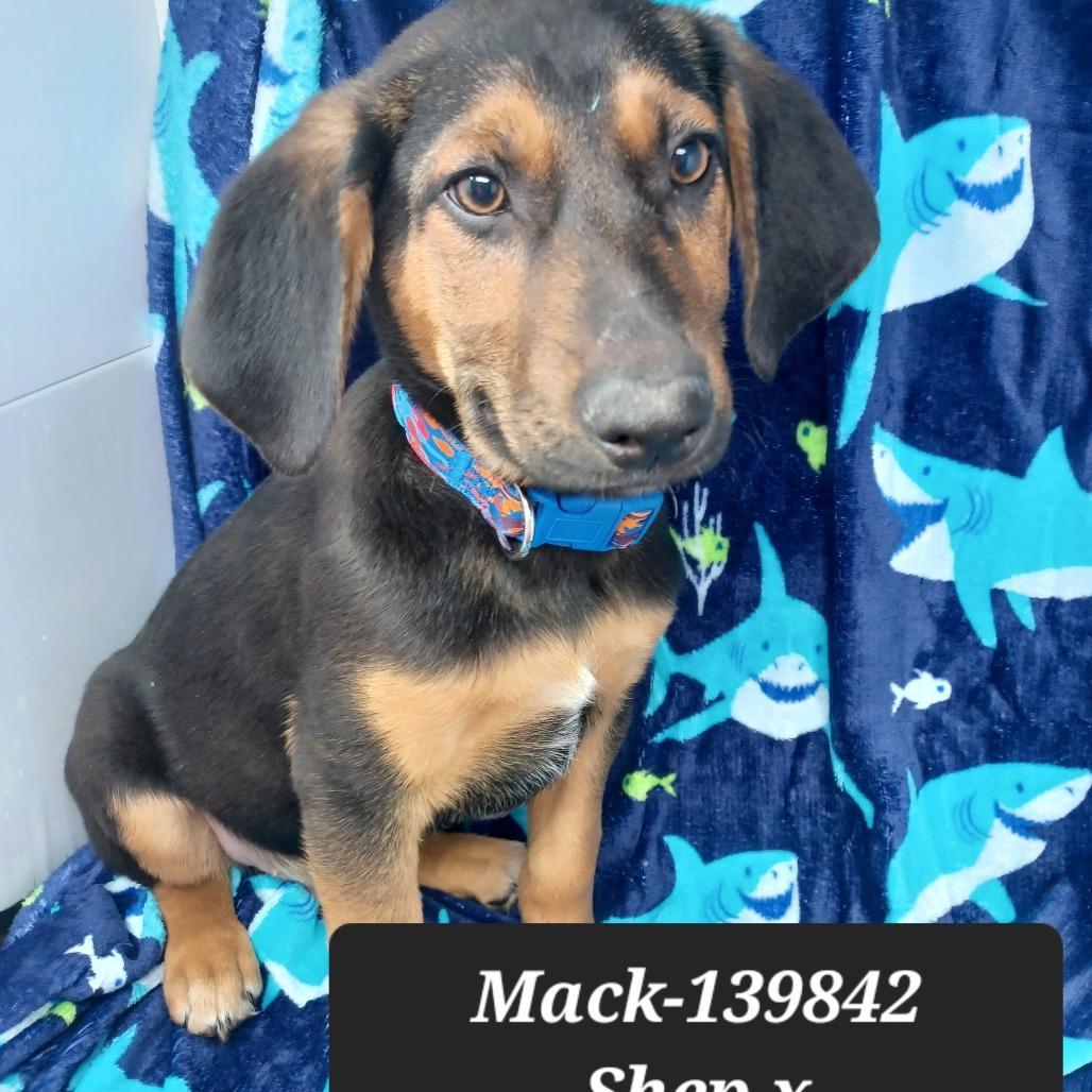 Mack