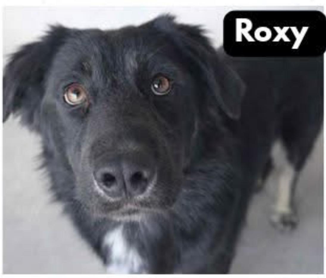 Roxy