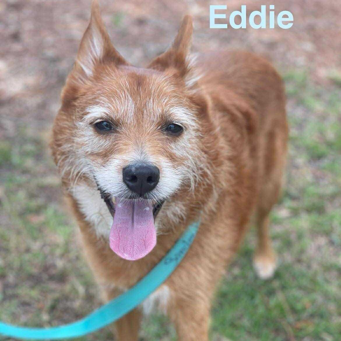Eddie