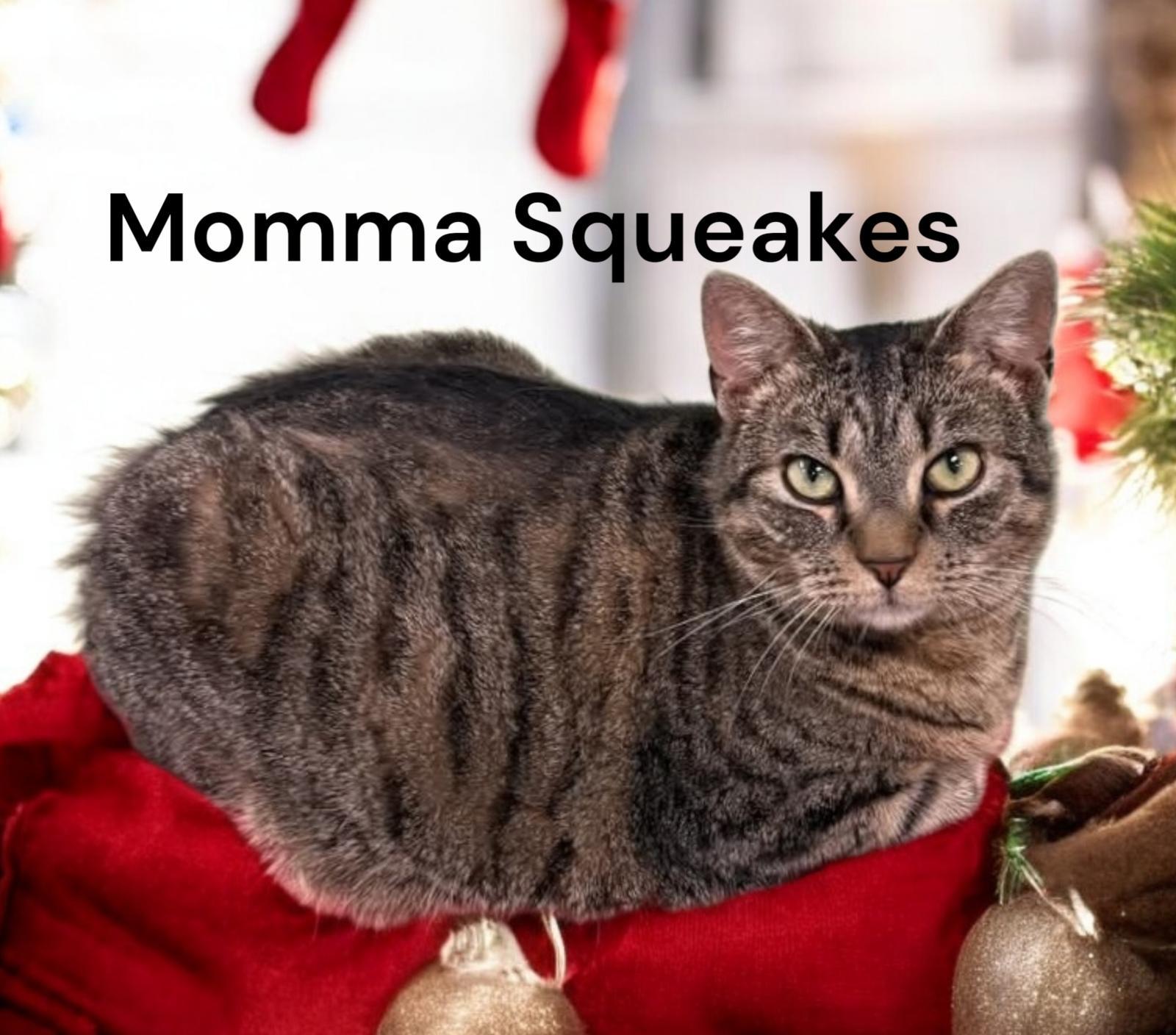 Mama Squeakes