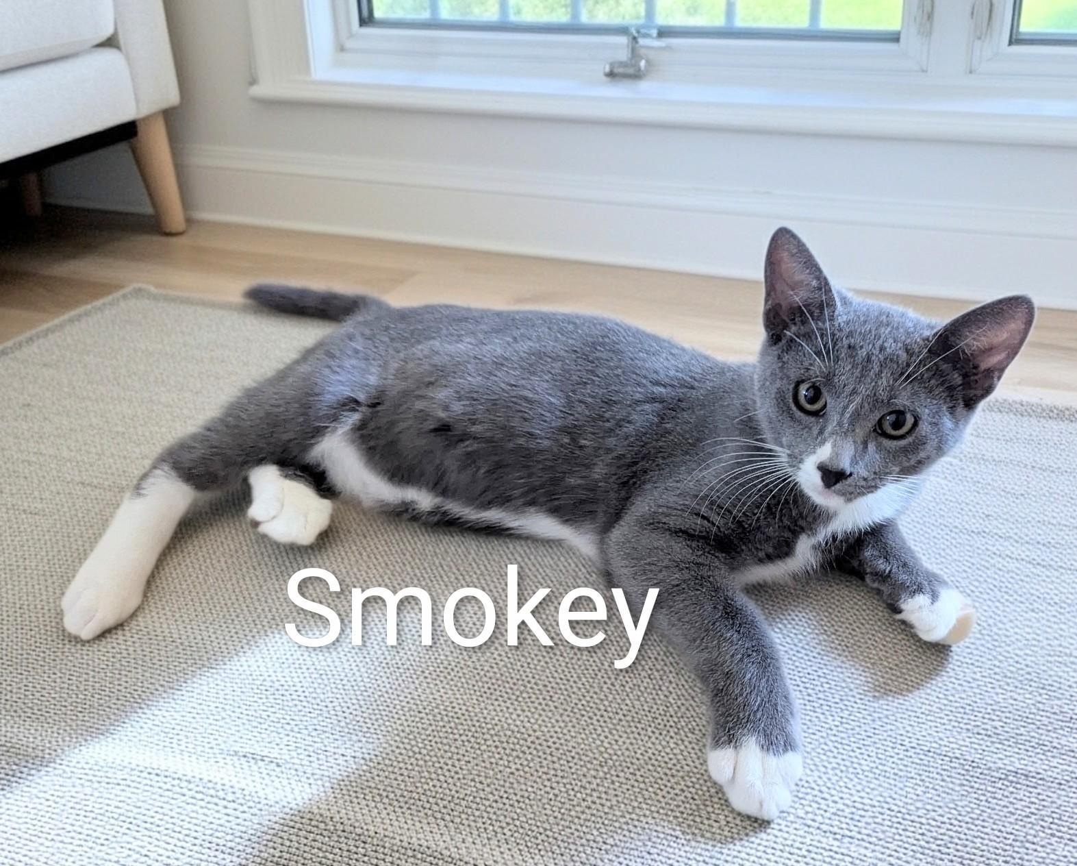 Smokey