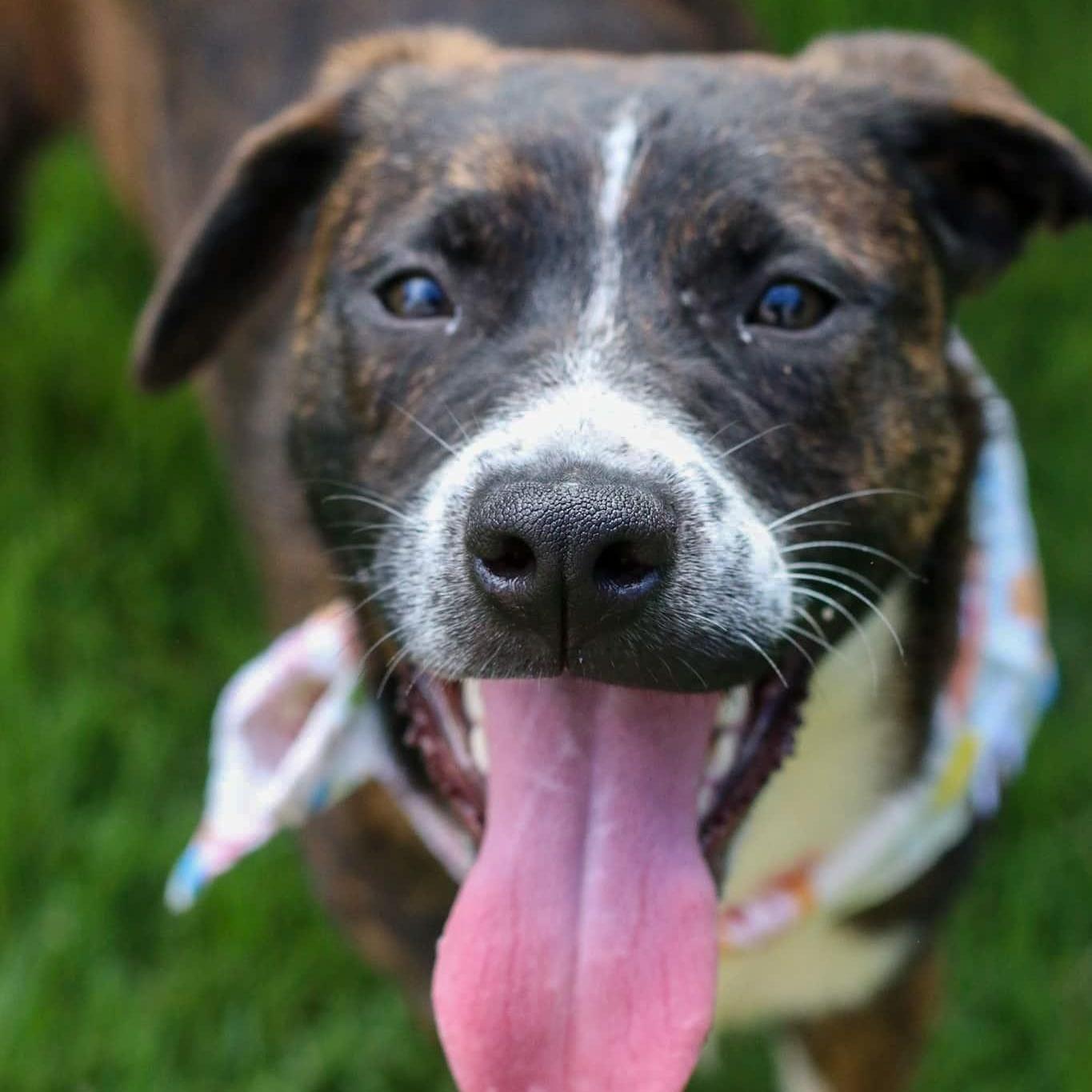 Rocco "forever Yours."