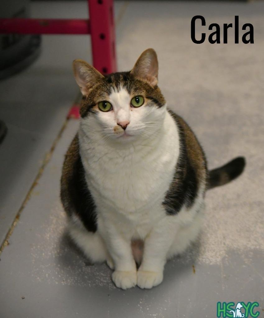 Carla