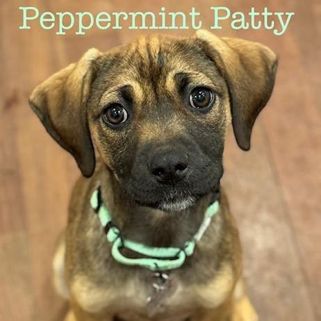 Peppermint Patty