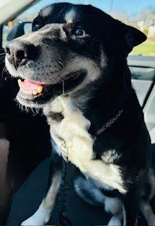 Woodrow "woody" {coming Soon}