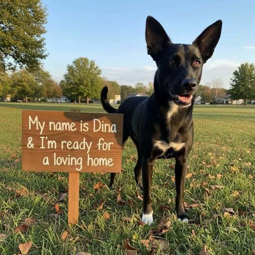 Dina